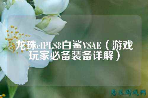 龙珠cfPLS8白鲨VSAE(游戏玩家必备装备详解)
