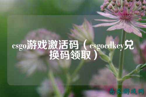 csgo游戏激活码(csgocdkey兑换码领取)