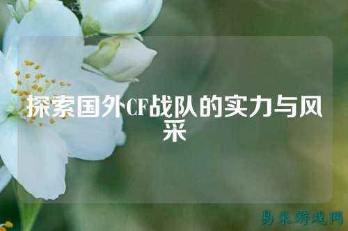 探索国外CF战队的实力与风采