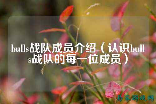 bulls战队成员介绍（认识bulls战队的每一位成员）