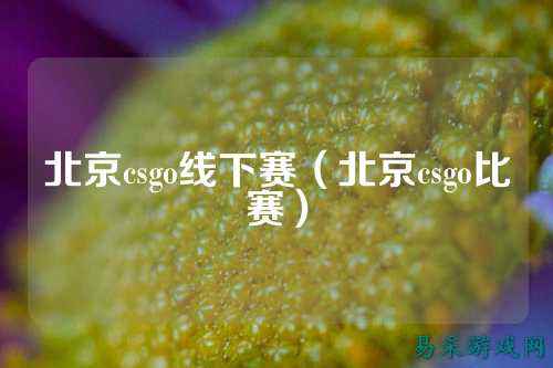 北京csgo线下赛(北京csgo比赛)