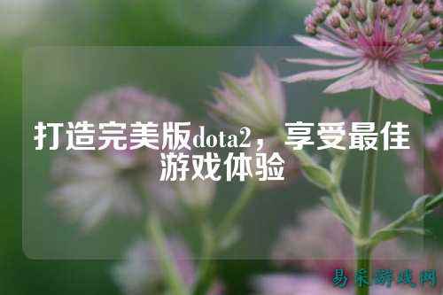 打造完美版dota2,享受最佳游戏体验