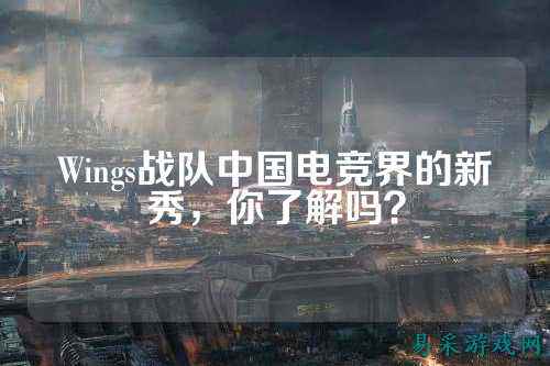 Wings战队中国电竞界的新秀，你了解吗？