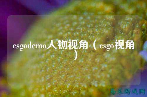 csgodemo人物视角(csgo视角)