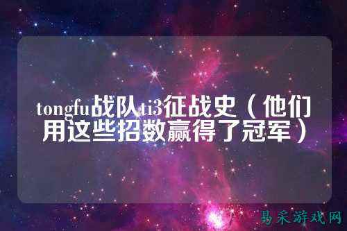 tongfu战队ti3征战史（他们用这些招数赢得了冠军）