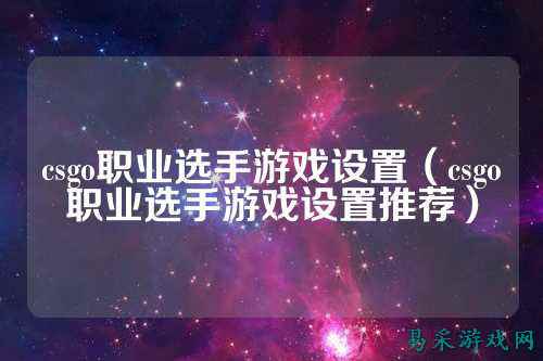 csgo职业选手游戏设置(csgo职业选手游戏设置推荐)