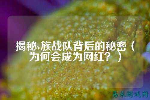 揭秘v族战队背后的秘密（为何会成为网红？）