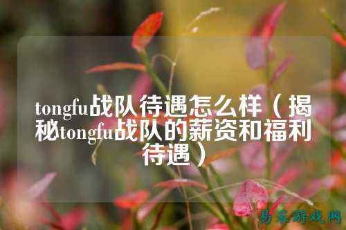 tongfu战队待遇怎么样（揭秘tongfu战队的薪资和福利待遇）