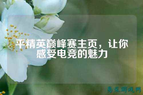 平精英巅峰赛主页,让你感受电竞的魅力