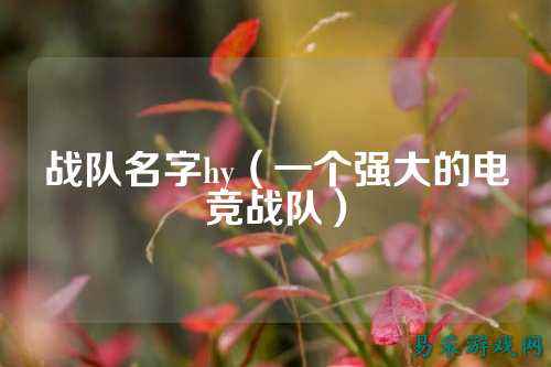 战队名字hy（一个强大的电竞战队）