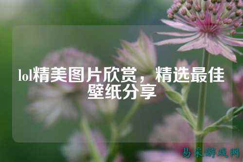 lol精美图片欣赏,精选最佳壁纸分享