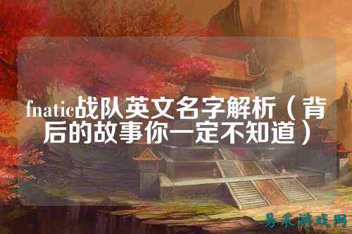 fnatic战队英文名字解析（背后的故事你一定不知道）
