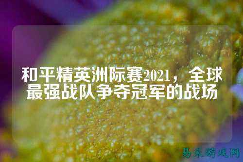 和平精英洲际赛2021,全球最强战队争夺冠军的战场