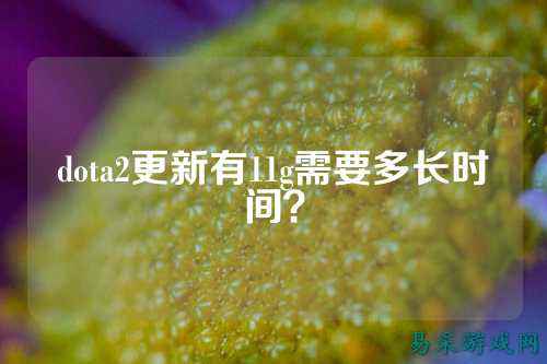 dota2更新有11g需要多长时间?