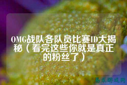 OMG战队各队员比赛ID大揭秘（看完这些你就是真正的粉丝了）