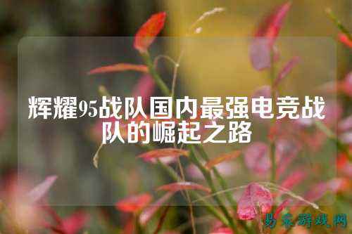 辉耀95战队国内最强电竞战队的崛起之路