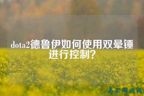 dota2德鲁伊如何使用双晕锤进行控制?