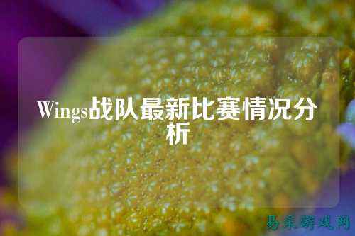 Wings战队最新比赛情况分析