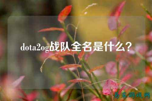 dota2og战队全名是什么？