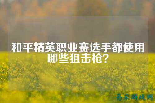 和平精英职业赛选手都使用哪些狙击枪?
