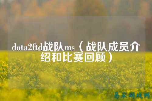 dota2ftd战队ms（战队成员介绍和比赛回顾）