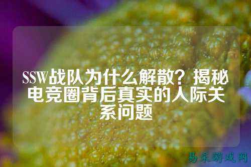 SSW战队为什么解散？揭秘电竞圈背后真实的人际关系问题