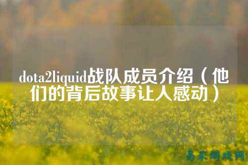 dota2liquid战队成员介绍（他们的背后故事让人感动）