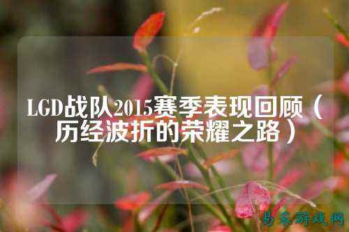 LGD战队2015赛季表现回顾（历经波折的荣耀之路）