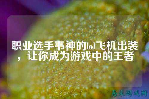 职业选手韦神的lol飞机出装,让你成为游戏中的王者