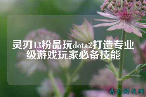 灵刃13粉晶玩dota2打造专业级游戏玩家必备技能