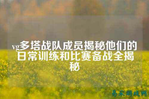 vg多塔战队成员揭秘他们的日常训练和比赛备战全揭秘