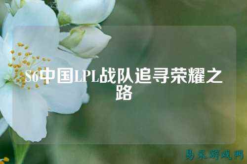 S6中国LPL战队追寻荣耀之路
