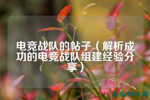 电竞战队的帖子（解析成功的电竞战队组建经验分享）