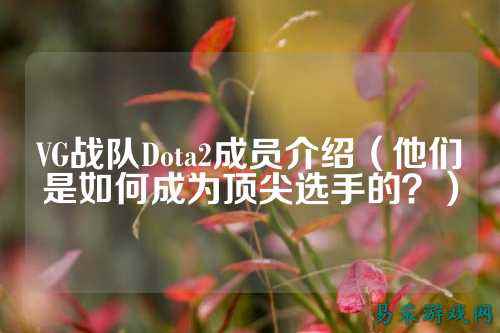 VG战队Dota2成员介绍（他们是如何成为顶尖选手的？）