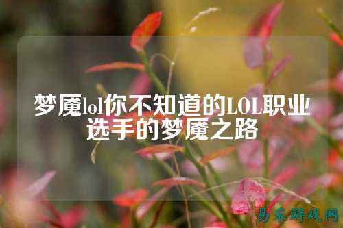 梦魇lol你不知道的LOL职业选手的梦魇之路