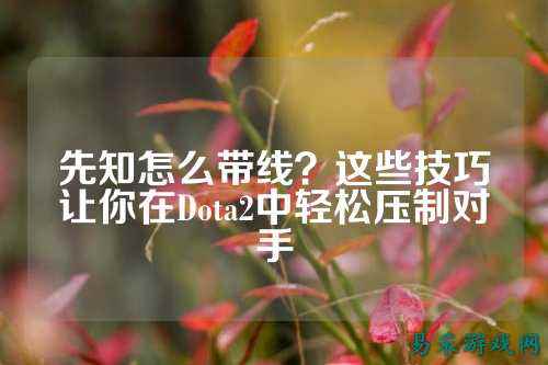 先知怎么带线?这些技巧让你在Dota2中轻松压制对手