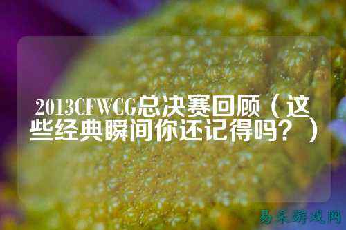 2013CFWCG总决赛回顾(这些经典瞬间你还记得吗?)