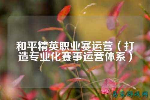 和平精英职业赛运营(打造专业化赛事运营体系)