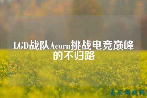 LGD战队Acorn挑战电竞巅峰的不归路