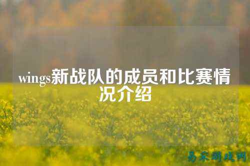 wings新战队的成员和比赛情况介绍