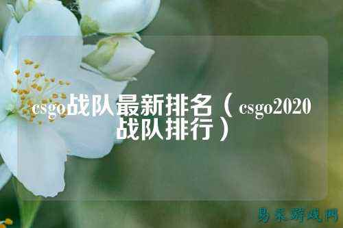 csgo战队最新排名(csgo2020战队排行)
