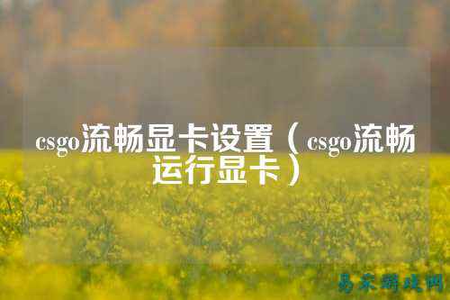 csgo流畅显卡设置（csgo流畅运行显卡）