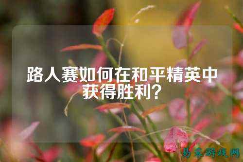 路人赛如何在和平精英中获得胜利？