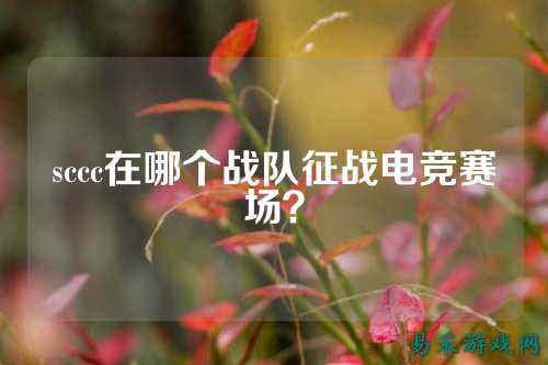 sccc在哪个战队征战电竞赛场？