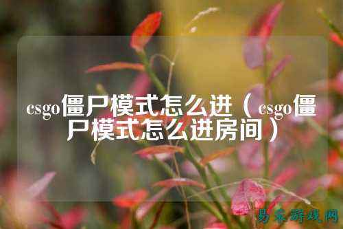 csgo僵尸模式怎么进（csgo僵尸模式怎么进房间）