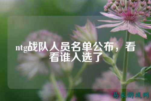 ntg战队人员名单公布，看看谁入选了