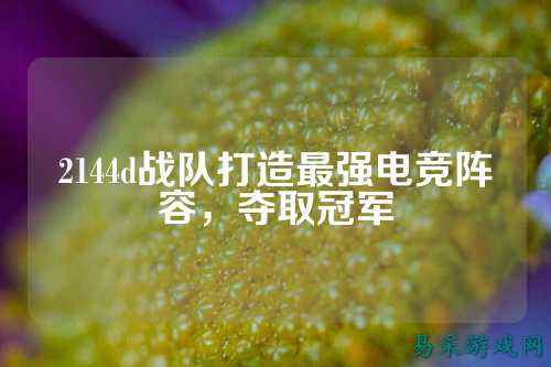 2144d战队打造最强电竞阵容，夺取冠军