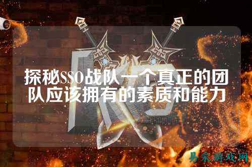 探秘SSO战队一个真正的团队应该拥有的素质和能力