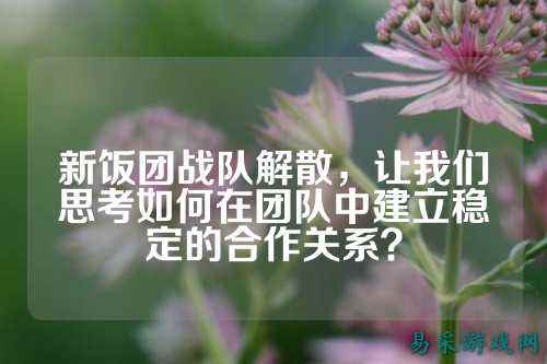 新饭团战队解散，让我们思考如何在团队中建立稳定的合作关系？