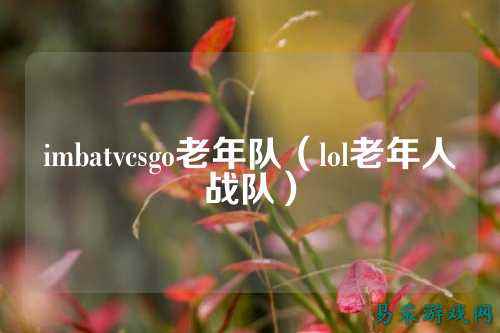 imbatvcsgo老年队(lol老年人战队)